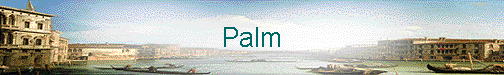  Palm 