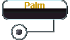  Palm 